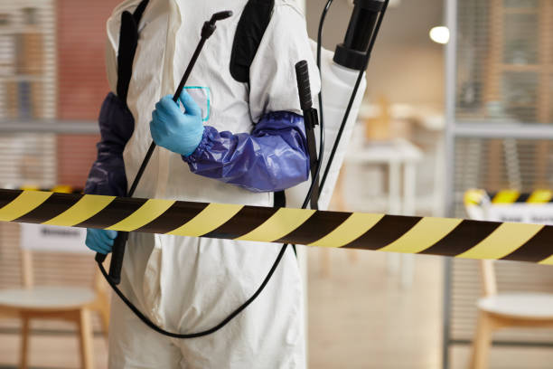 Professional Sewage Cleanup technician working in Egg Harbor, WI